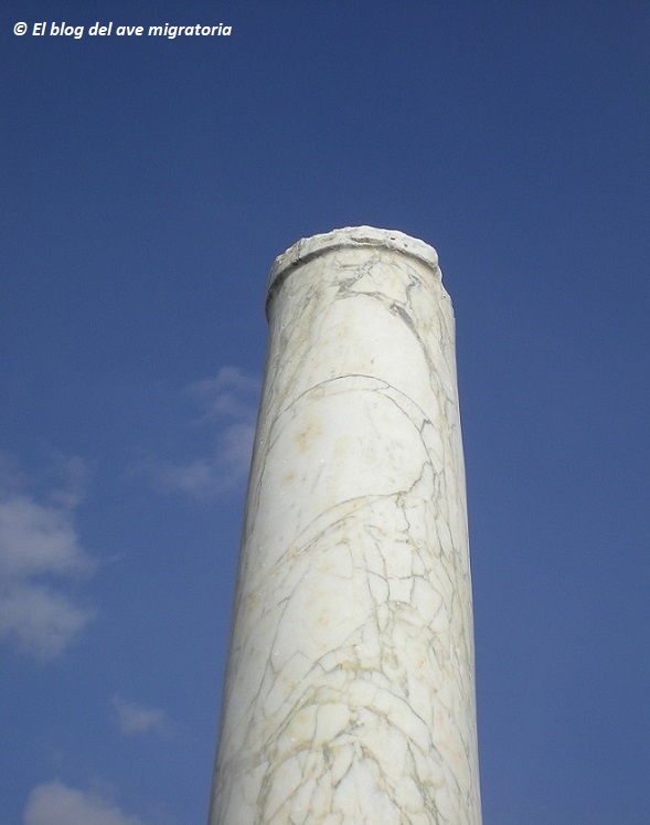 Una de las columnas del antiguo palacio